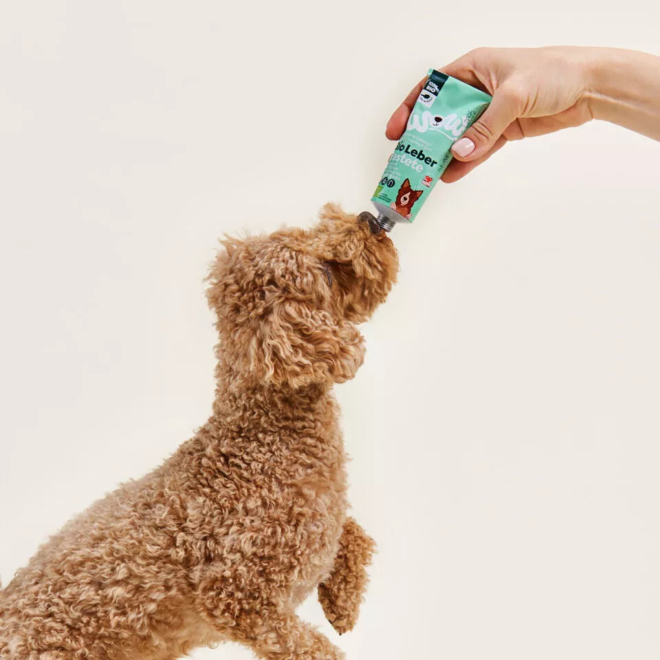 Patée de foie de poulet bio