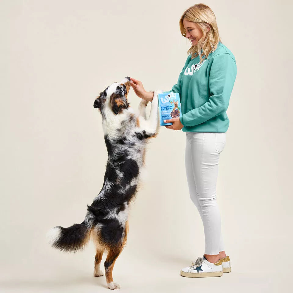 Friandises cubes Superfood Poulet et Panais