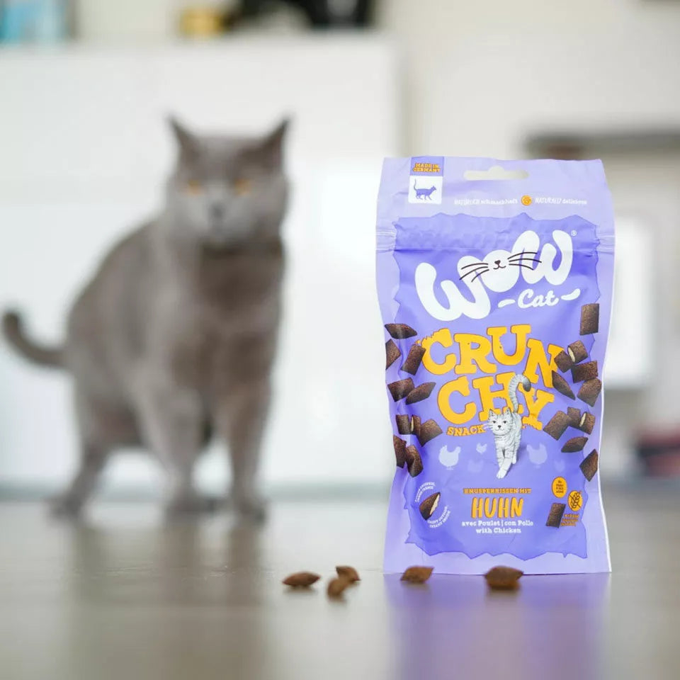 Crunchy Snack Poulet pour chat