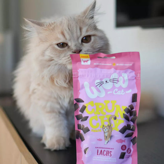 Crunchy Snack Saumon pour chat
