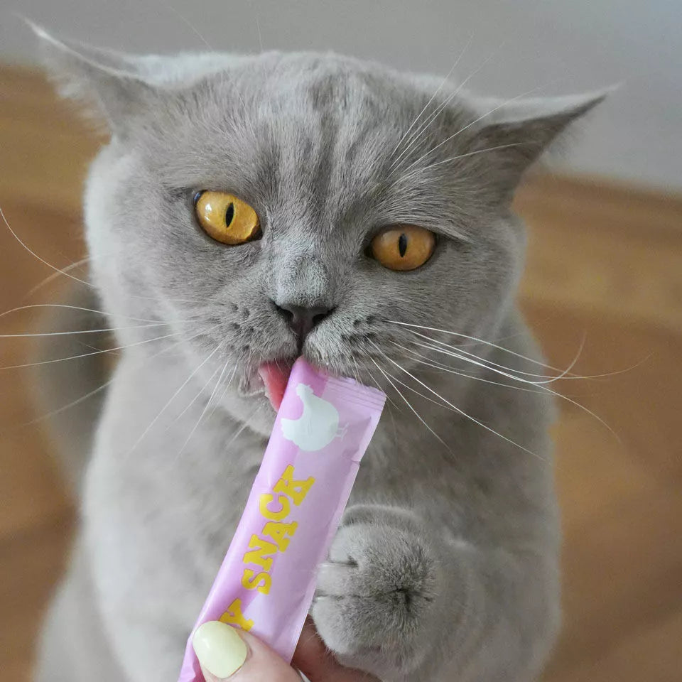 Creamy Snack Poulet pour chat