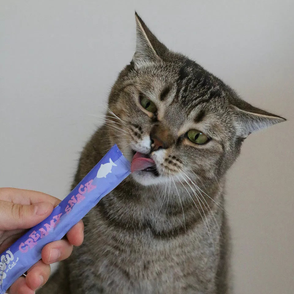Creamy Snack Saumon pour chat