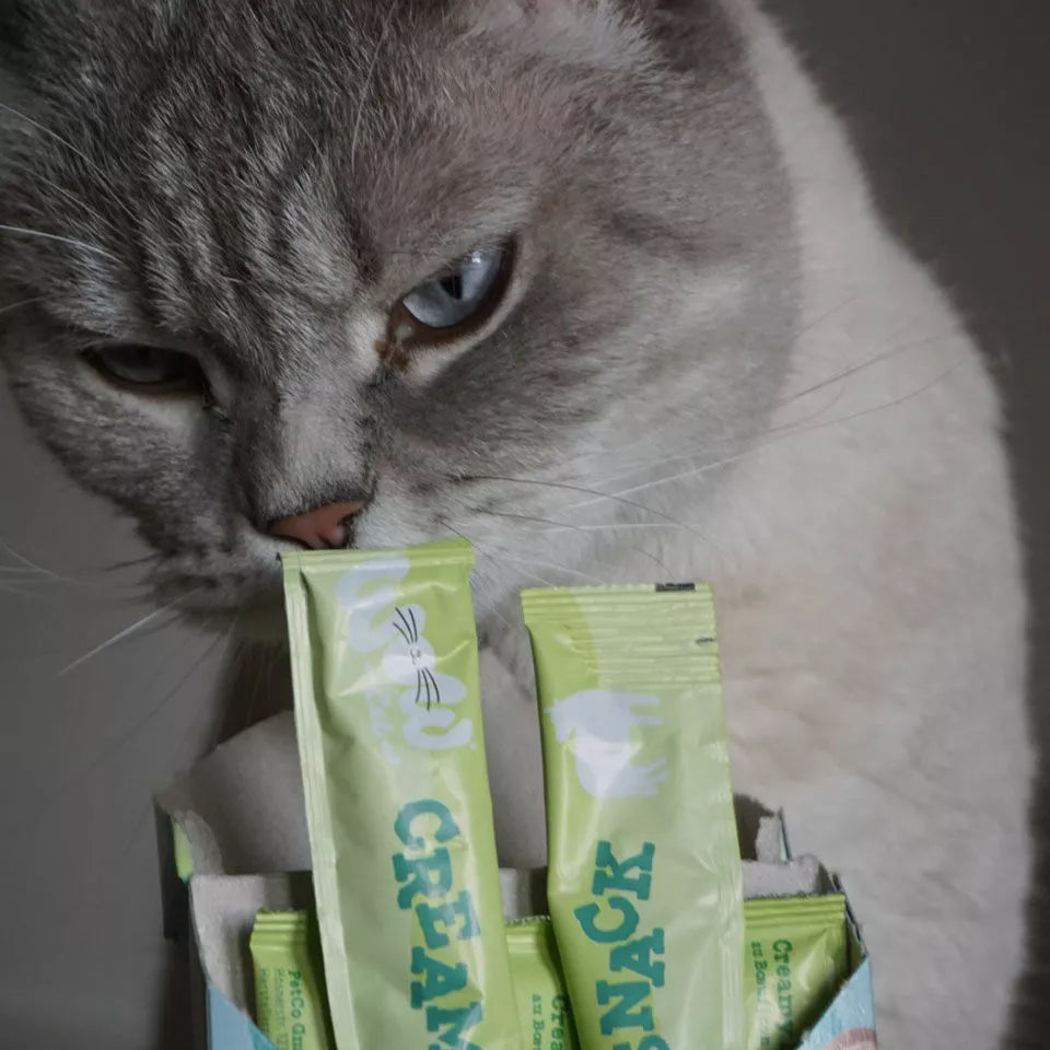 Creamy Snack Bœuf pour chat