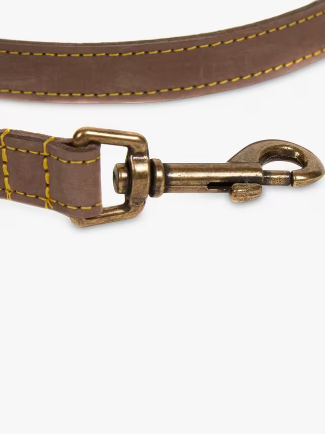Laisse en cuir marron Barbour