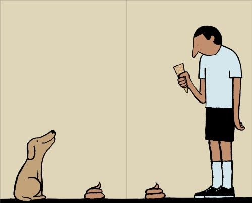 Livre "UNDER DOGS"