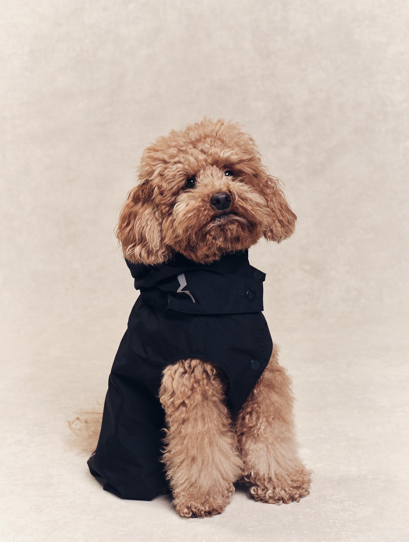 Imperméable pour chien Rainpack Light