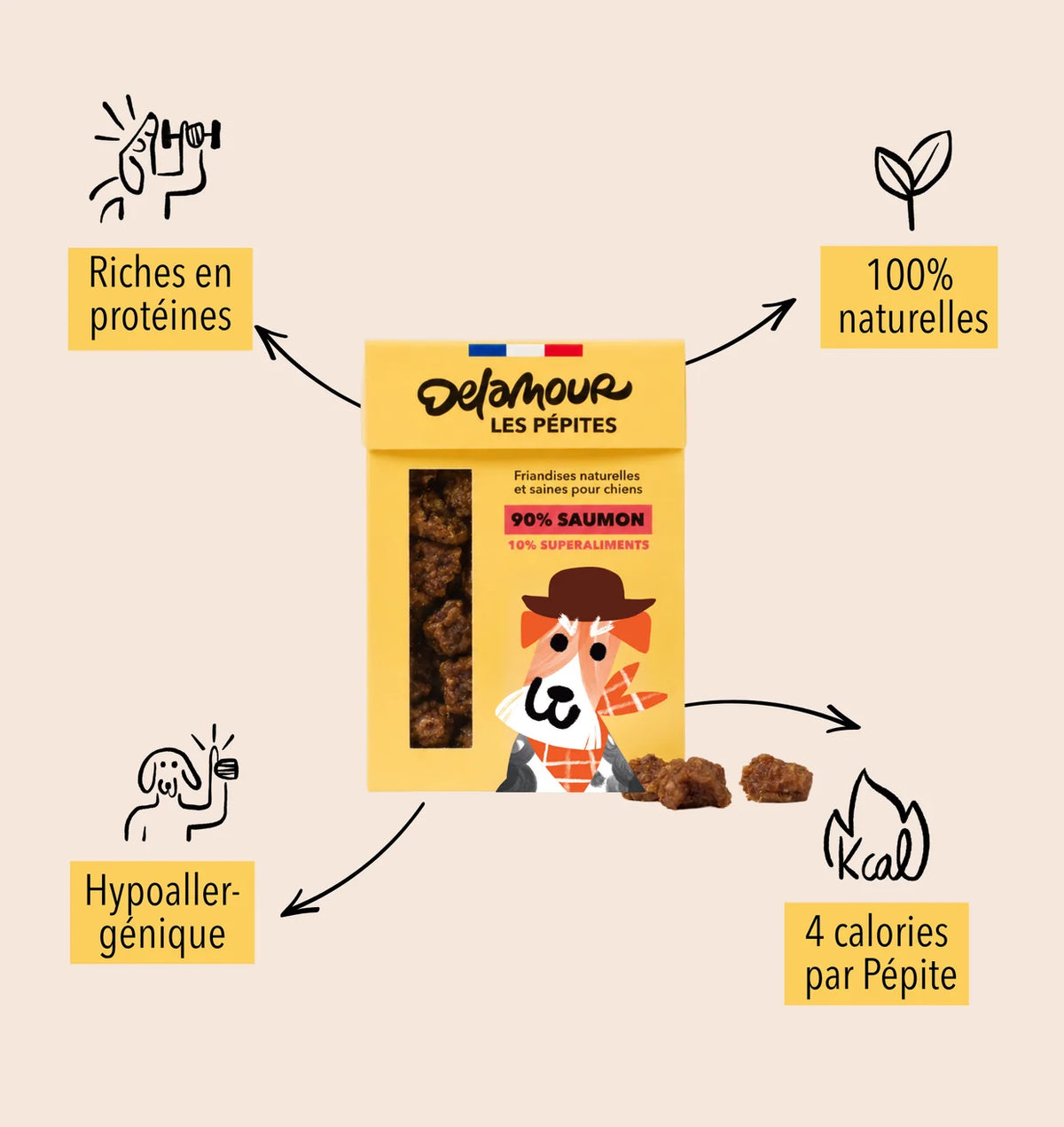 Friandises Les Pépites Saumon