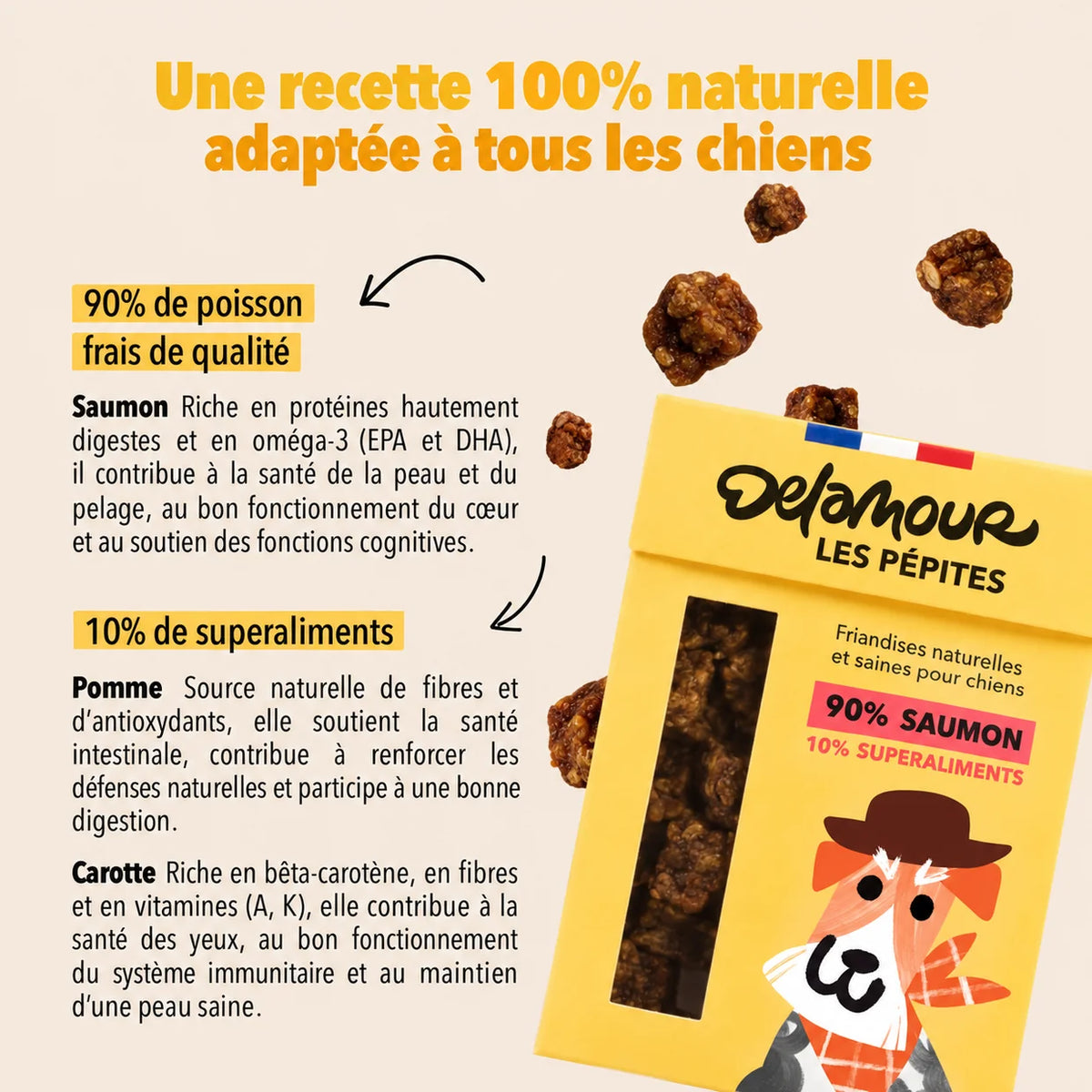 Friandises Les Pépites Saumon