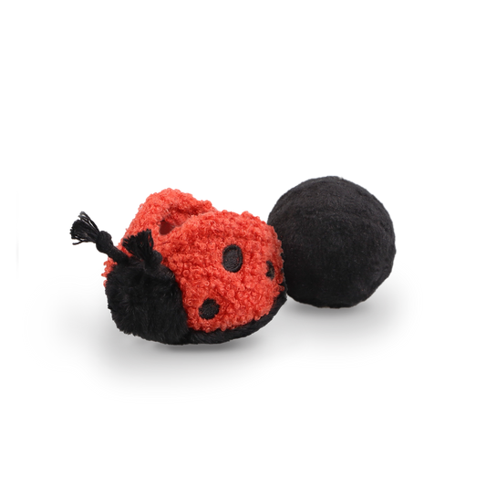 Jouet de fouille + balle coccinelle