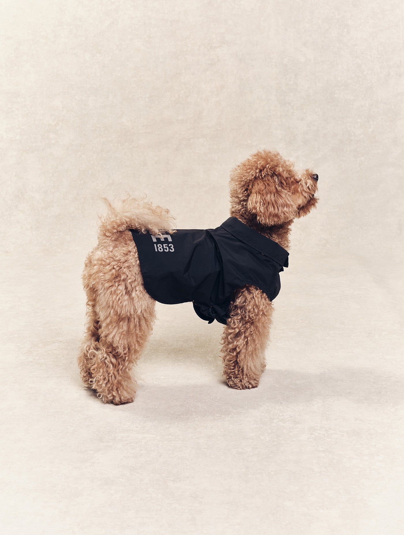 Imperméable pour chien Rainpack Light