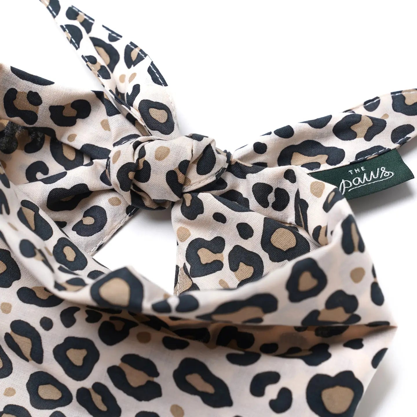 Bandana Pounce