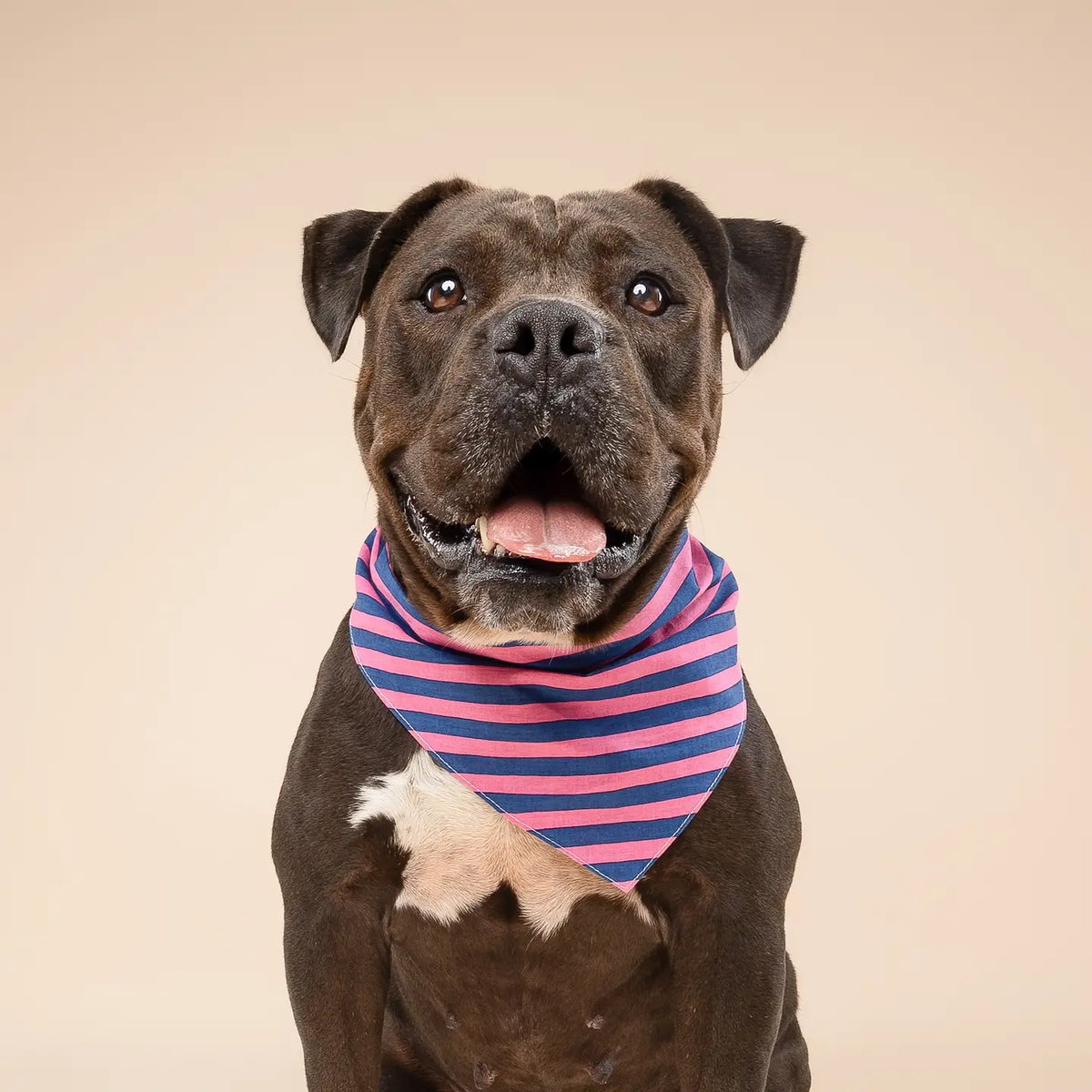 Bandana Pacific Stripes