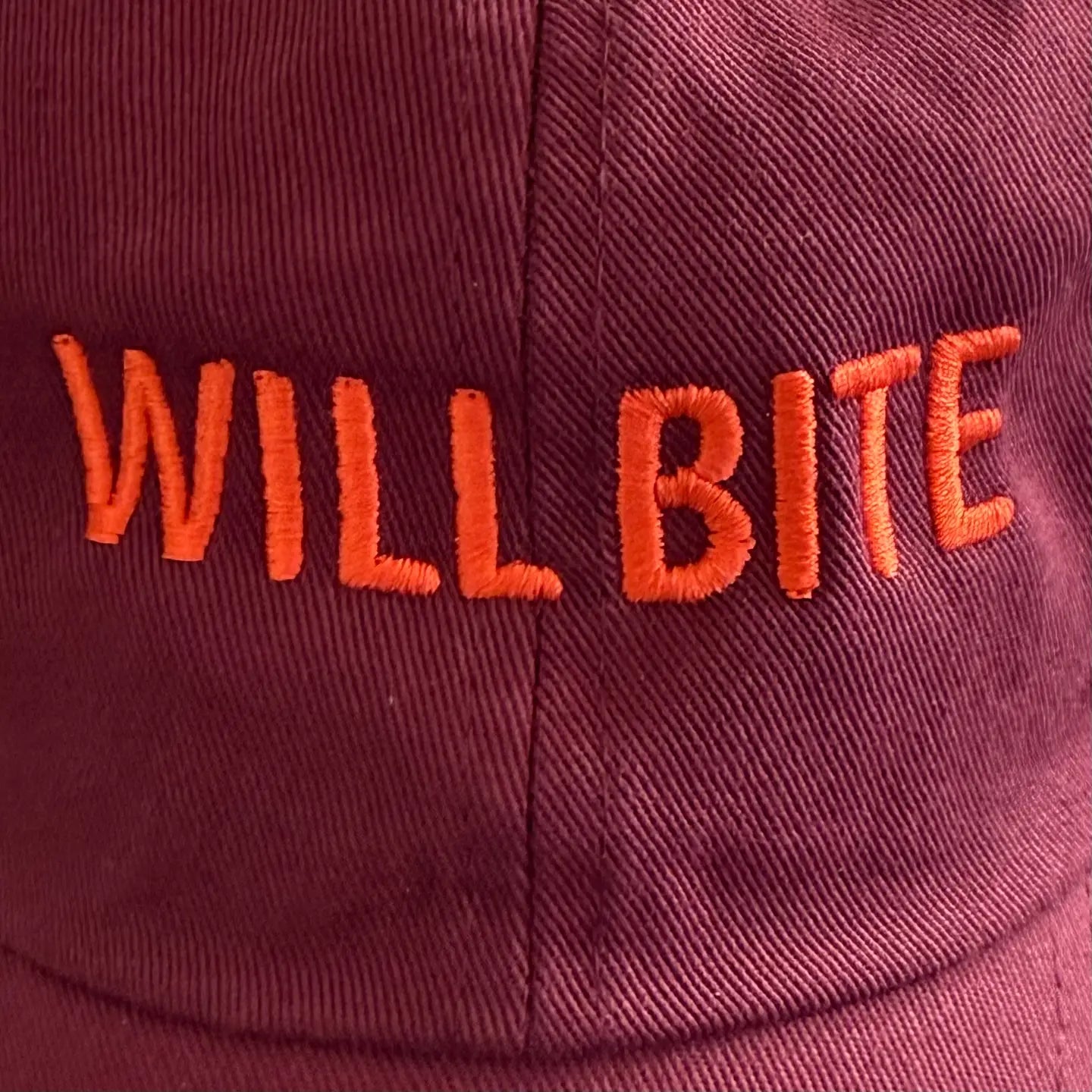 Casquette Will bite