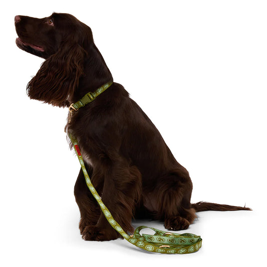 Collier Matcha Green