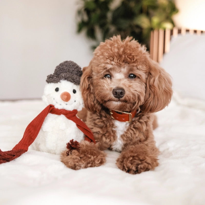 Peluche bonhomme de neige