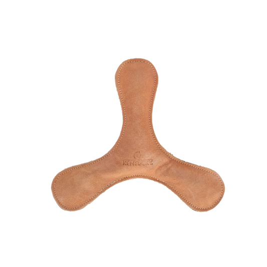 Jouet Boomerang