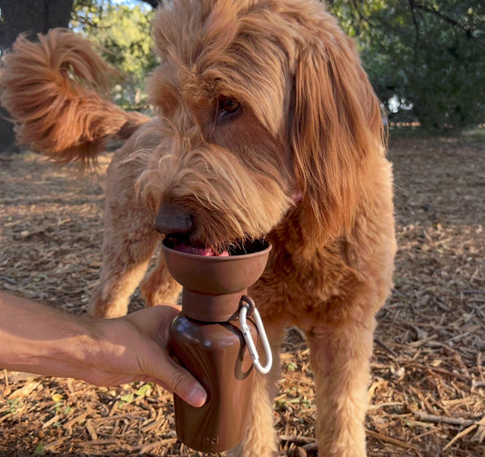 Gourde Flip avec gamelle rétractable 59cl