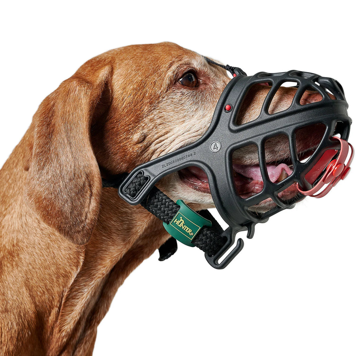 Muselière Albury pour chien
