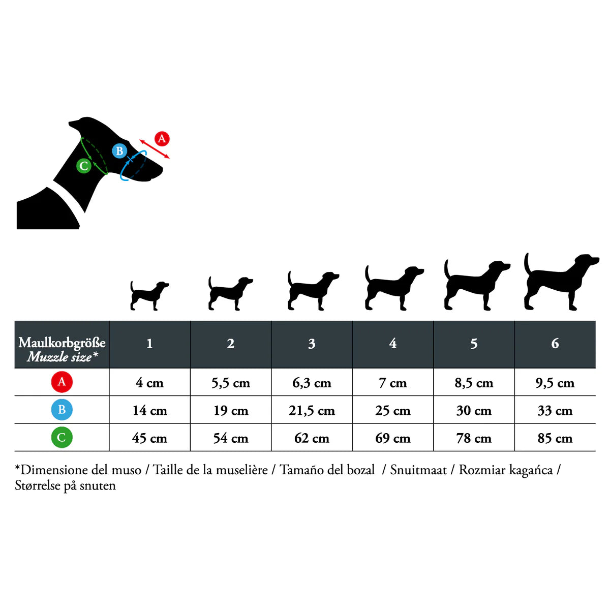 Muselière Albury pour chien