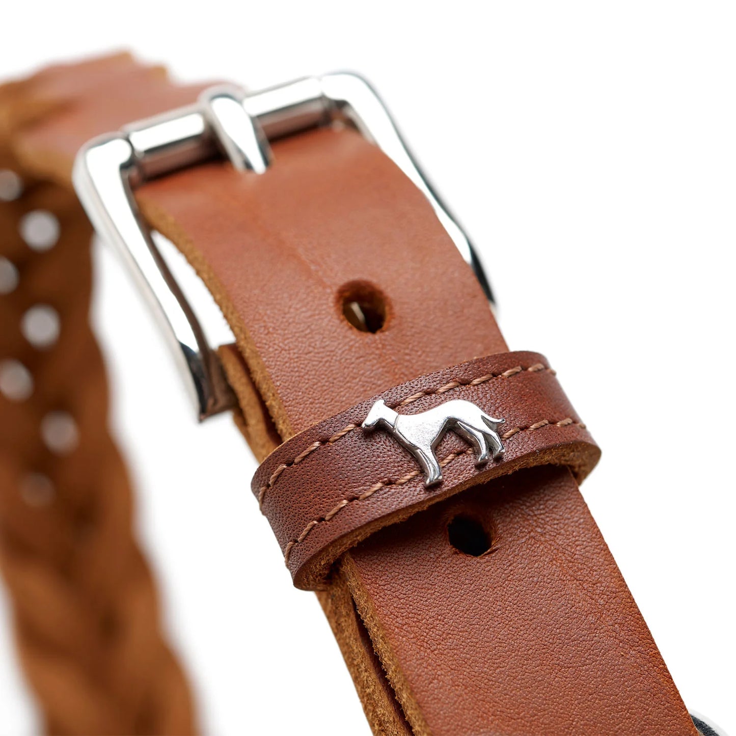 Collier Solid Education Special