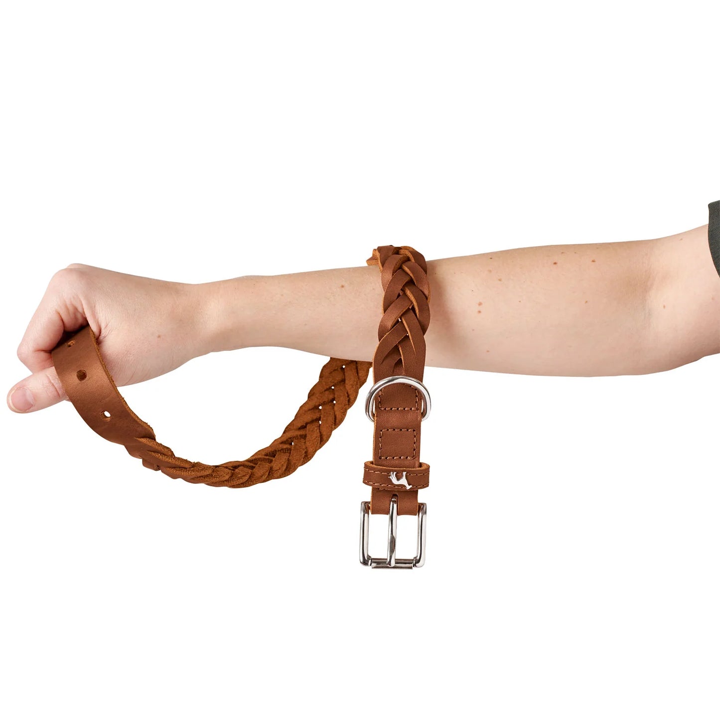 Collier Solid Education Special