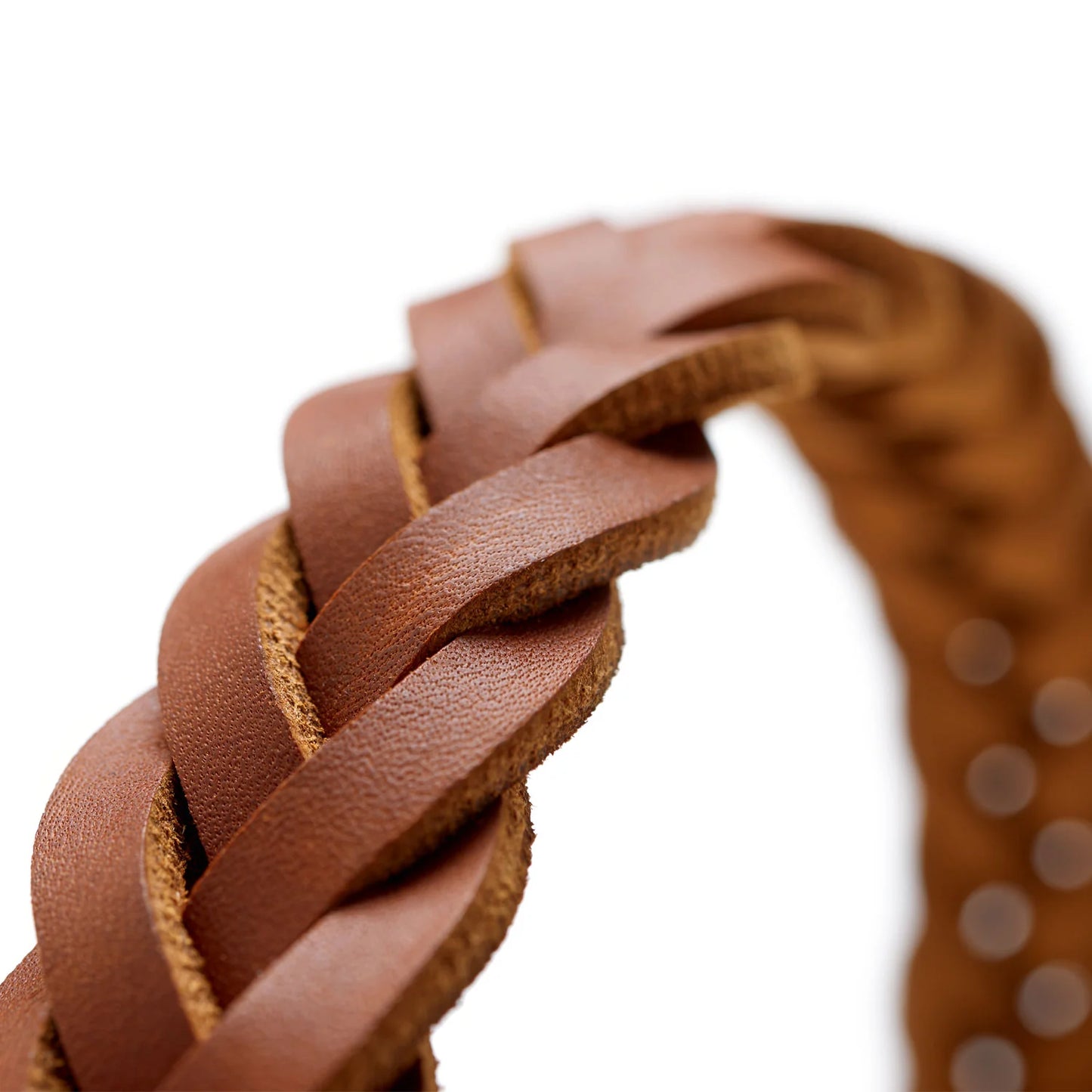 Collier Solid Education Special