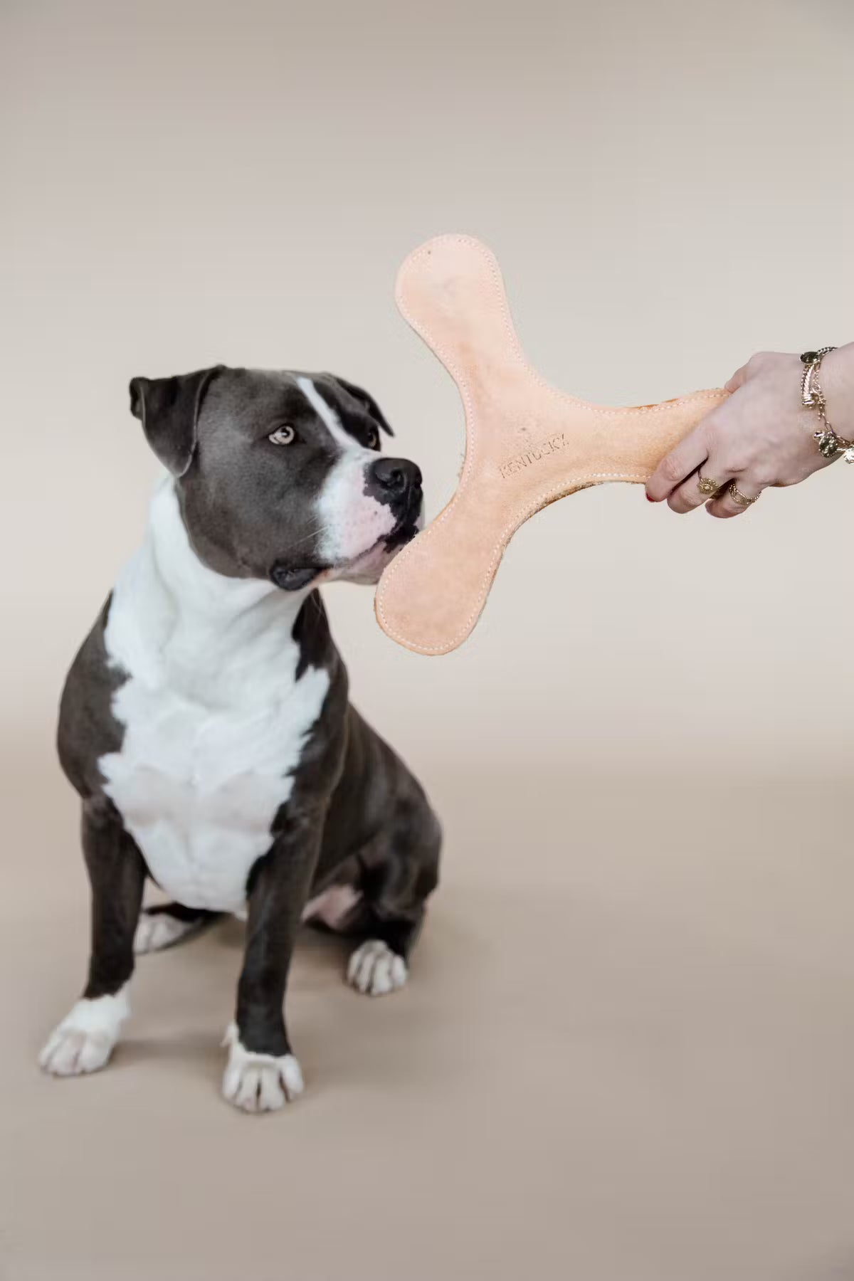 Jouet Boomerang