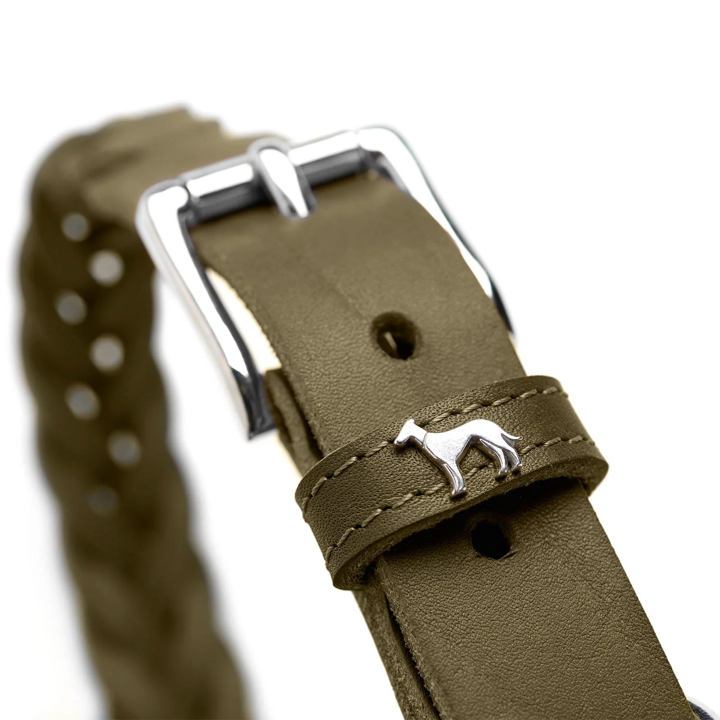 Collier Solid Education Special