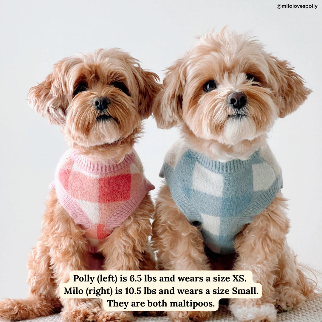 Pull Bow Wow