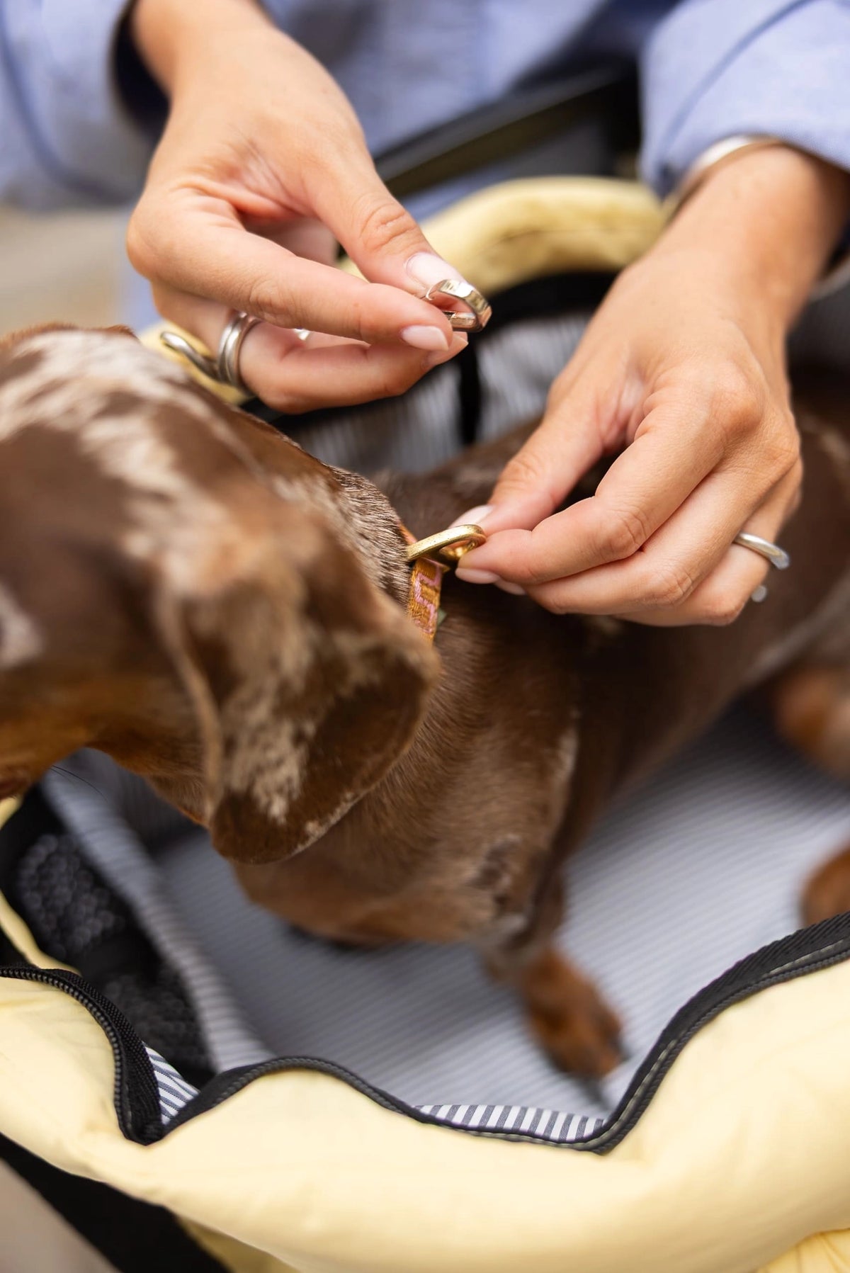 Sac de transport pour chiens