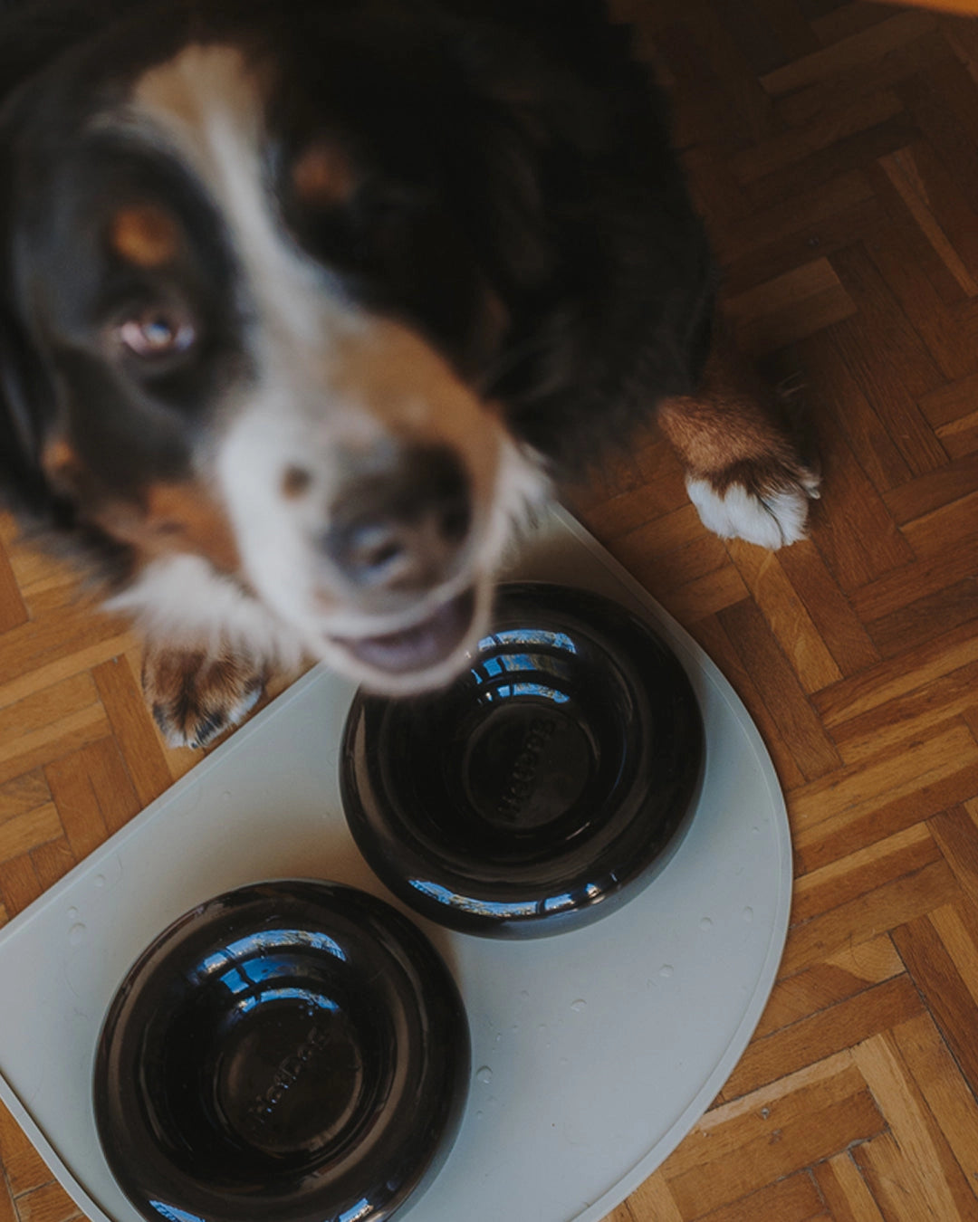 Gamelle en céramique