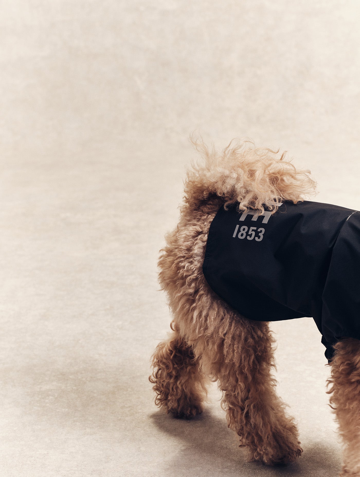 Imperméable pour chien Rainpack Light