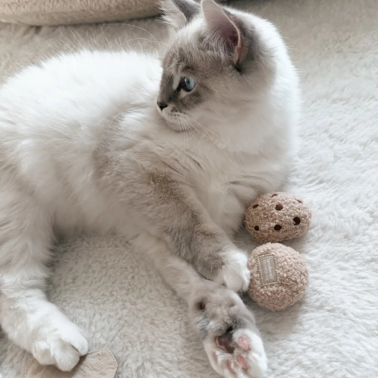 Jouet pour chat Tea Time