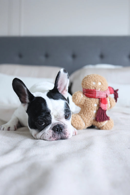 Peluche pain d'épice