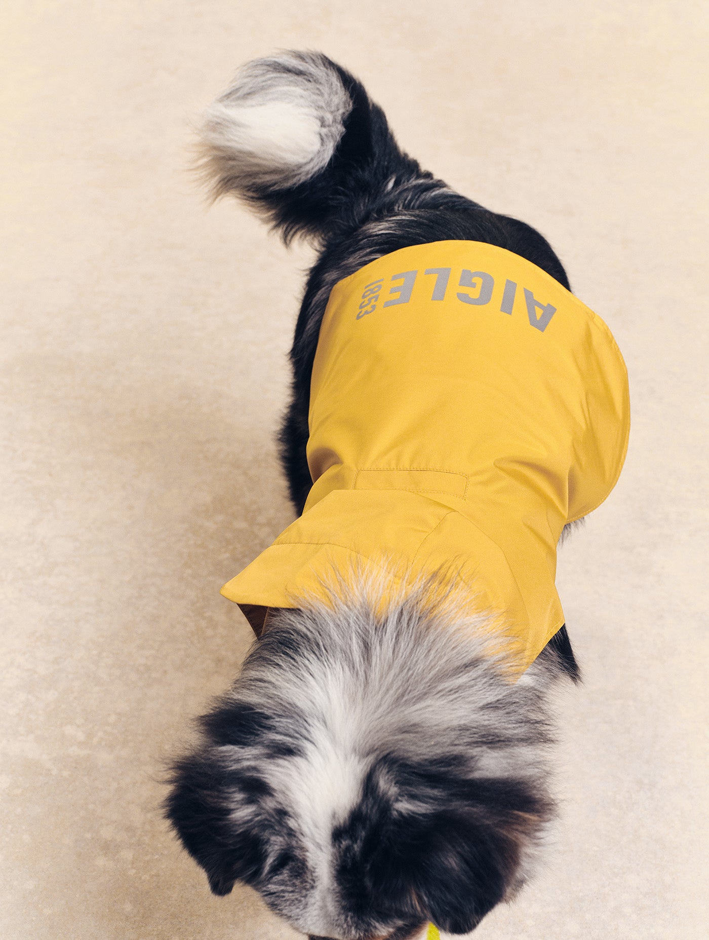 Imperméable pour chien Rainpack Light