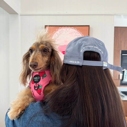 Casquette Send dog pics