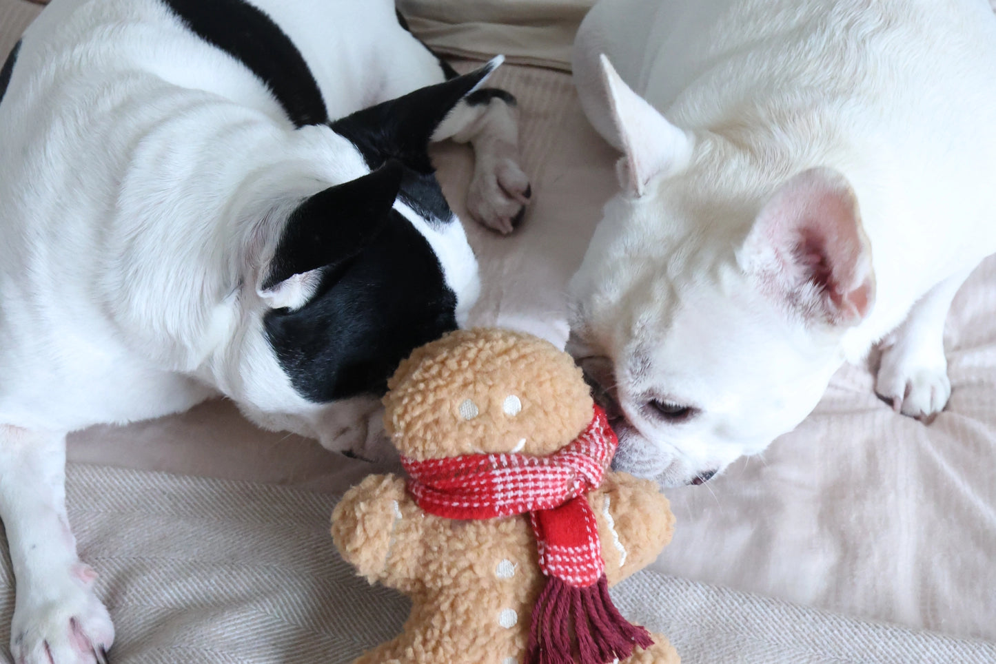 Peluche pain d'épice