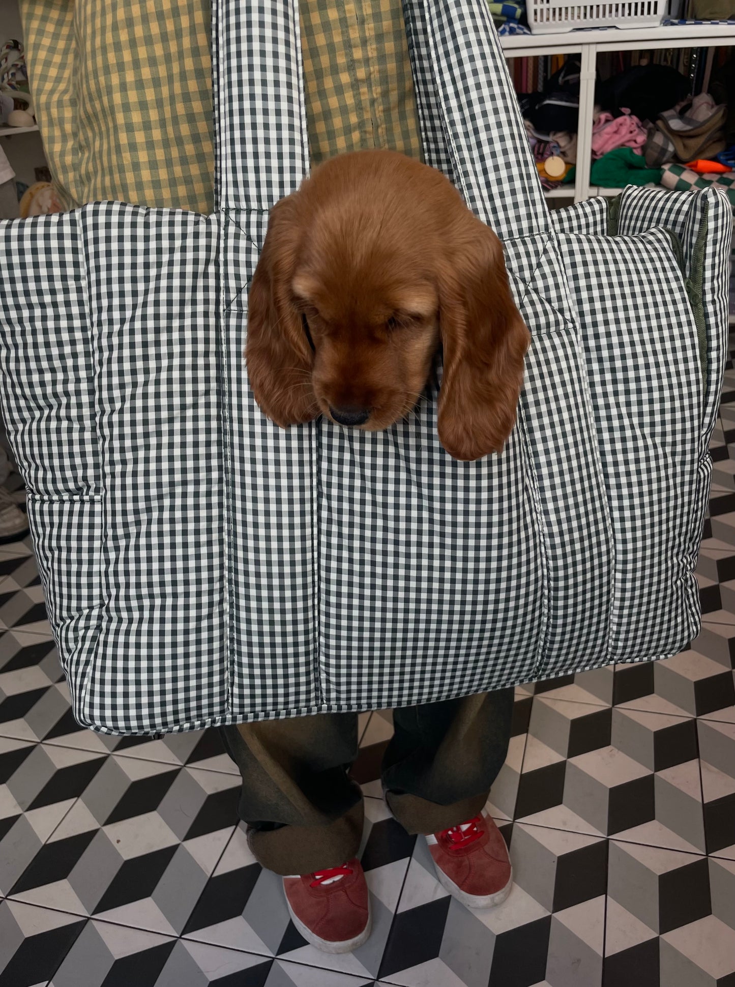 Sac de transport pour chiens