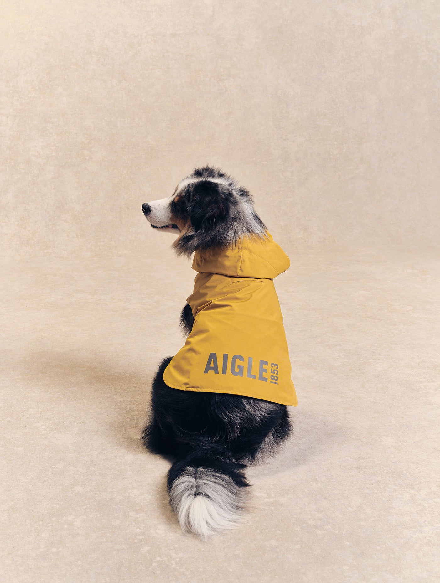 Imperméable pour chien Rainpack Light