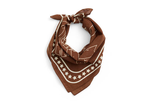 Bandana Brown HAY
