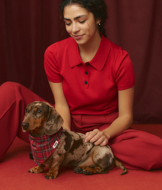 Bandana Tartan Royal Stewart