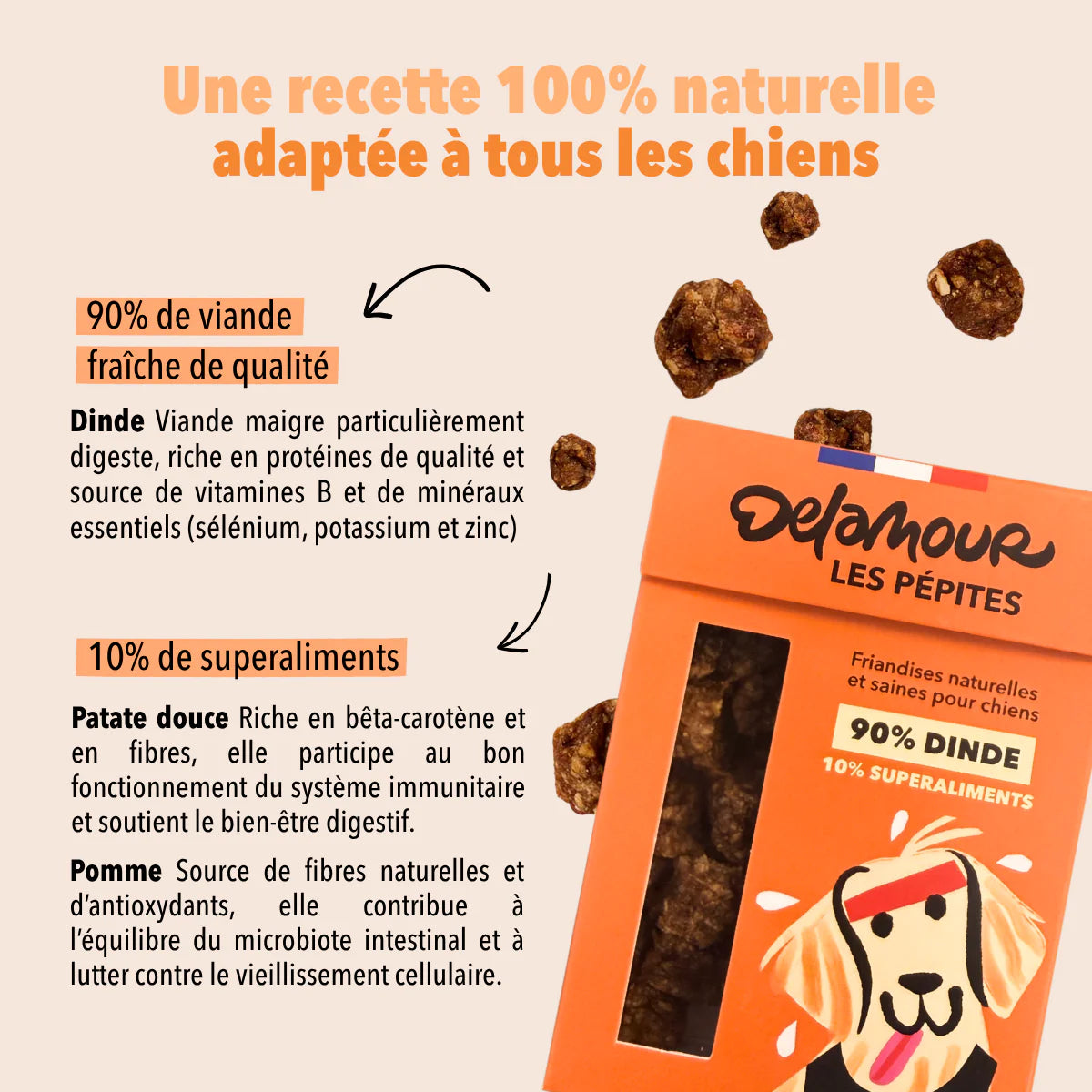 Friandises Les Pépites Dinde
