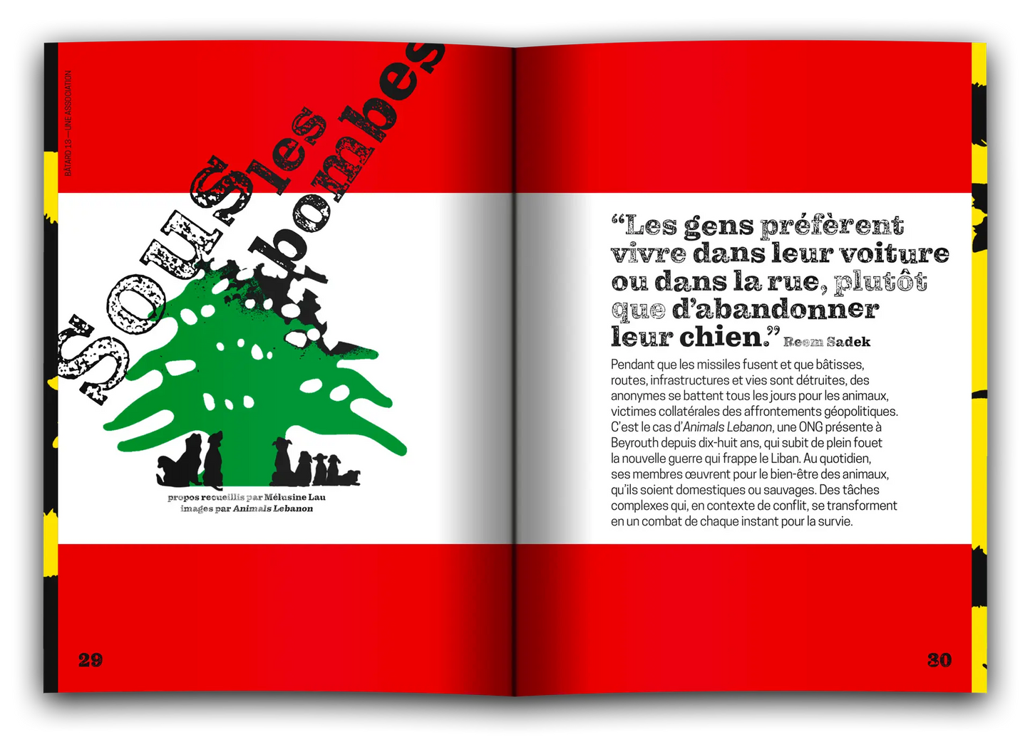 Magazine Bâtard #13