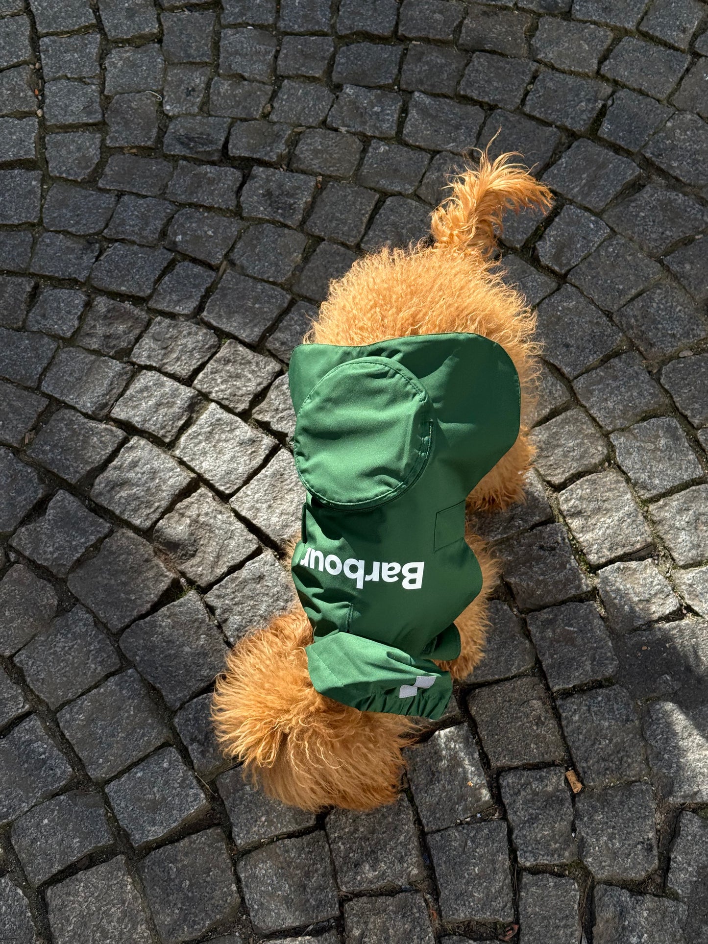 Imperméable pliable vert Barbour
