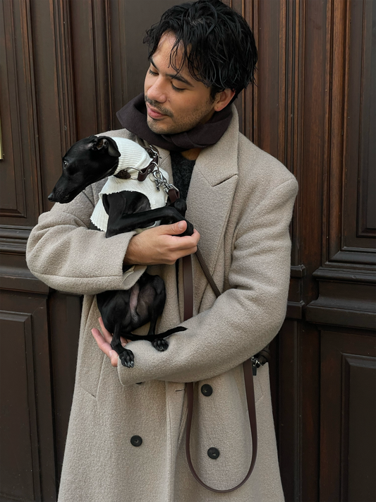 Laisse mains-libres 3 positions Brownie