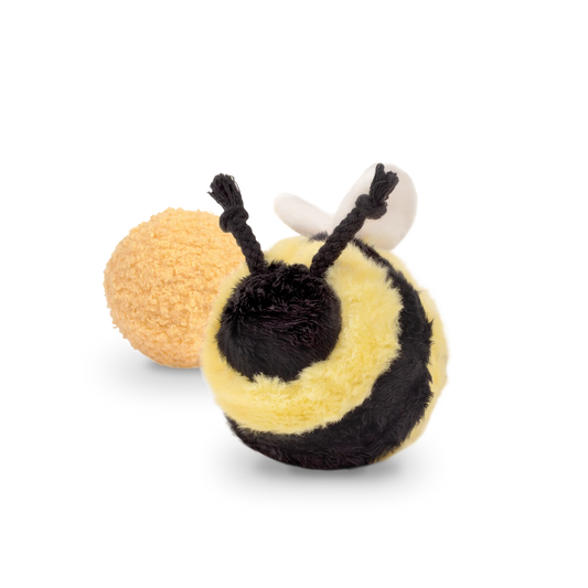 Jouet de fouille + balle abeille