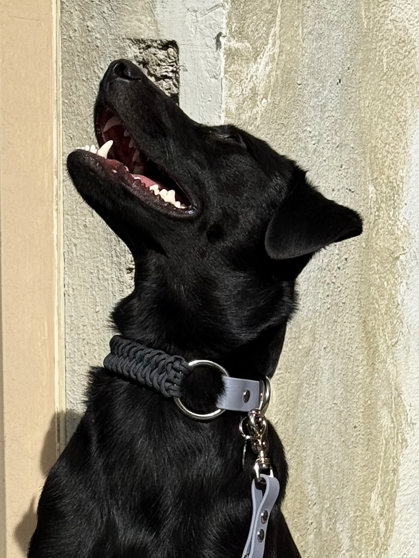 Collier bi-matière Black Sesame