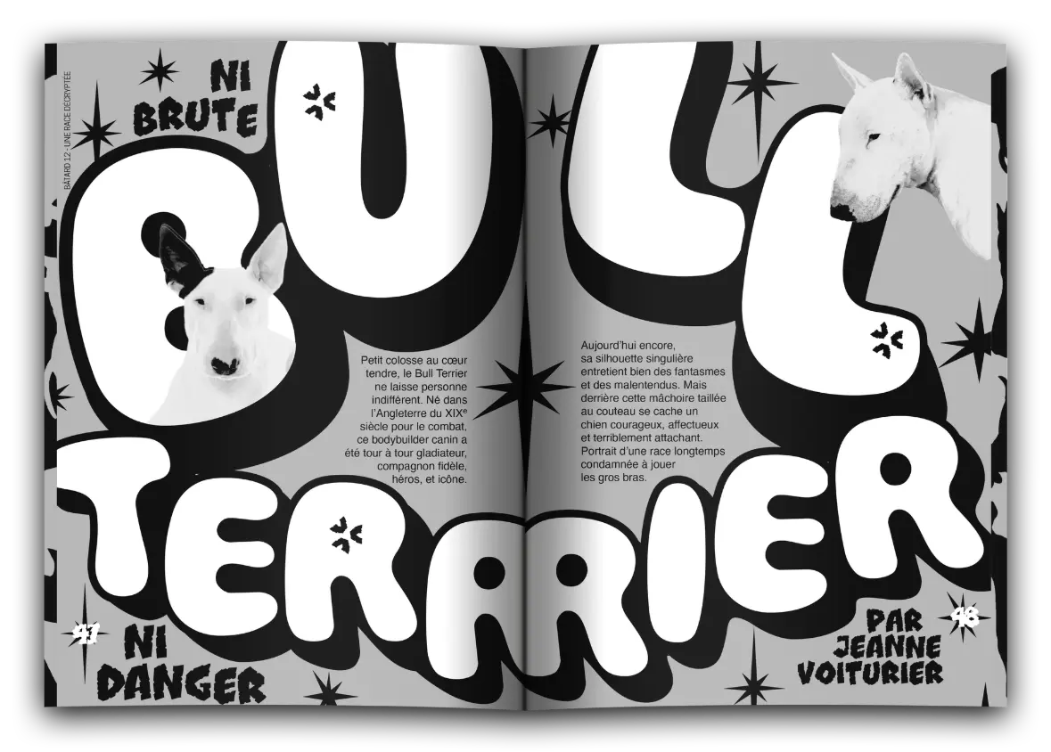 Magazine Bâtard #12