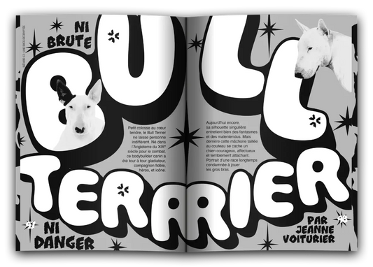 Magazine Bâtard #12