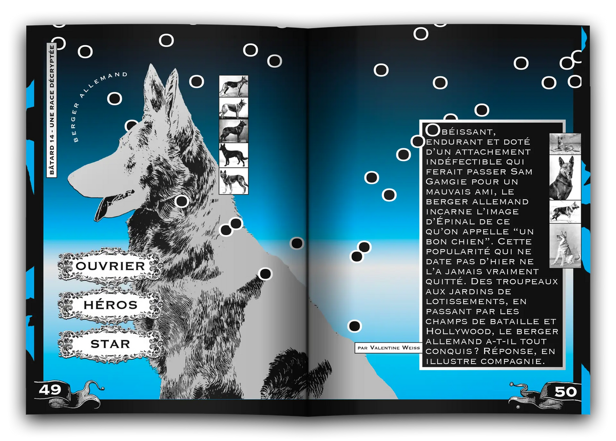 Magazine Bâtard #14